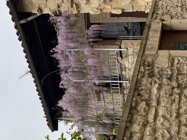 La maison de Léa dans le Beaujolais