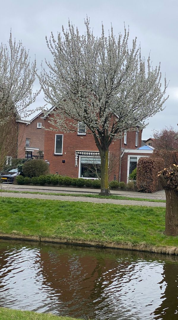 La maison de Julio