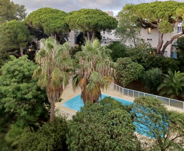 Fraicheur, climatisation, piscine au milieu des pins, à 2 pas du port, des commodités et des plages
