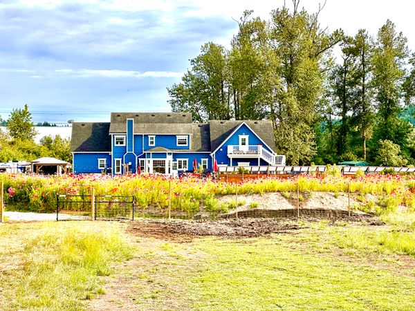 La maison de Bruce