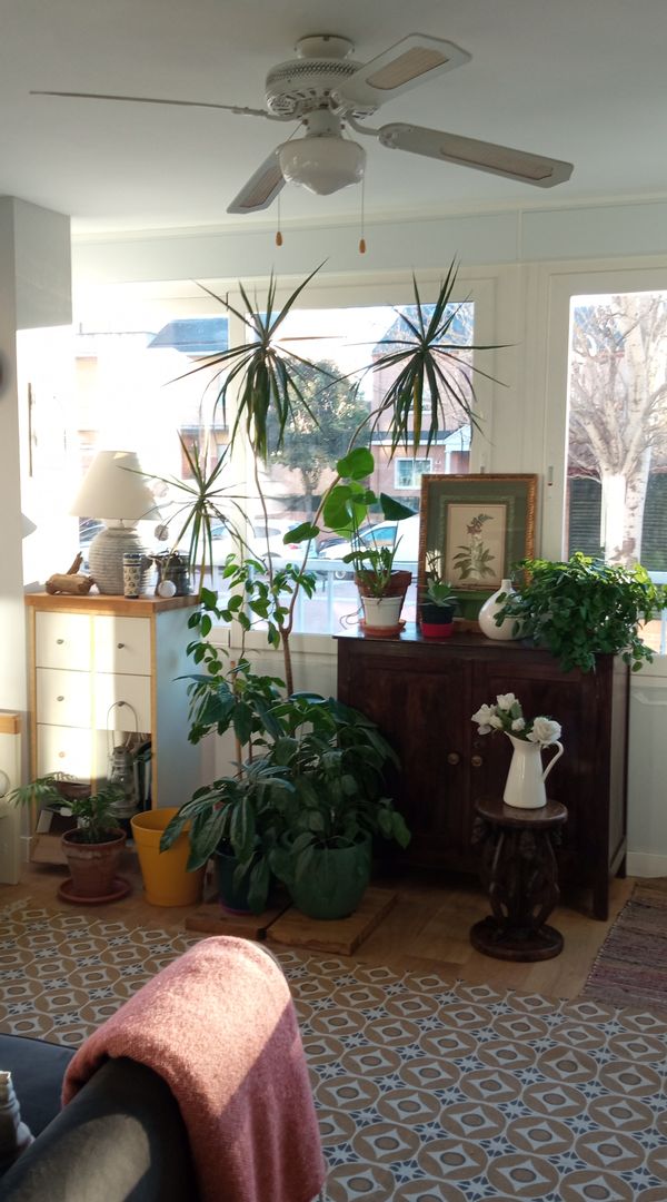 Appartement d'Henar et Maxime