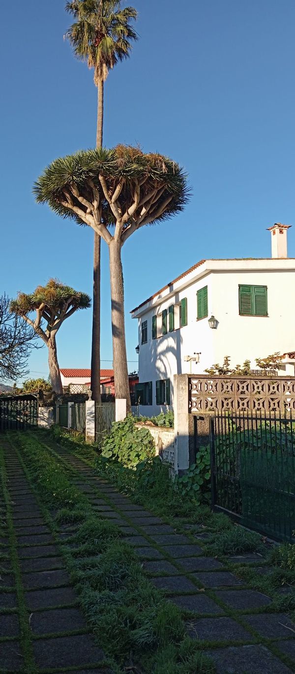 La maison de Águeda y José Luis