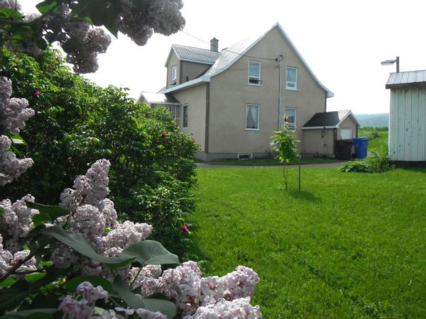 La maison de Mamie