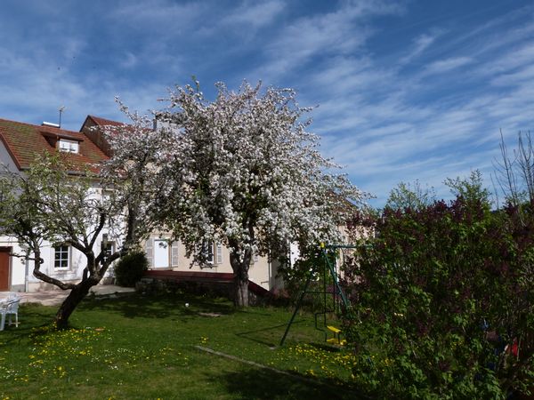 La maison d'Élodie