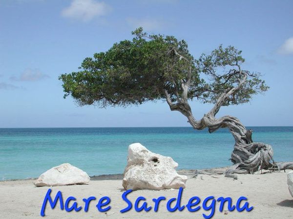 La maison de Maura  Ruggero e Barbara
