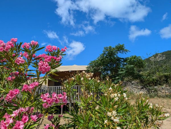 La lodge Safari