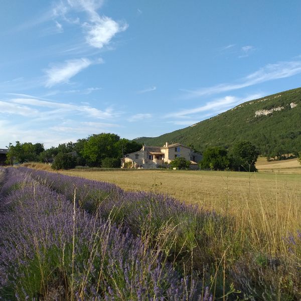 La Bergerie Provençale