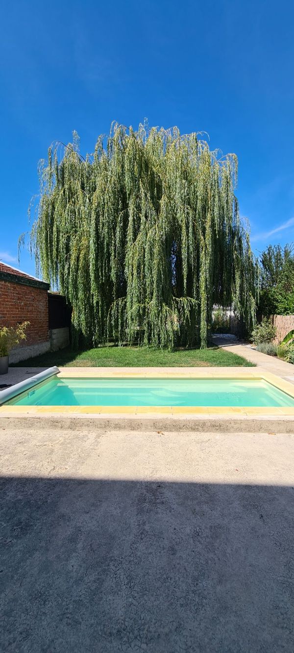 Maison avec piscine au coeur de la Champagne