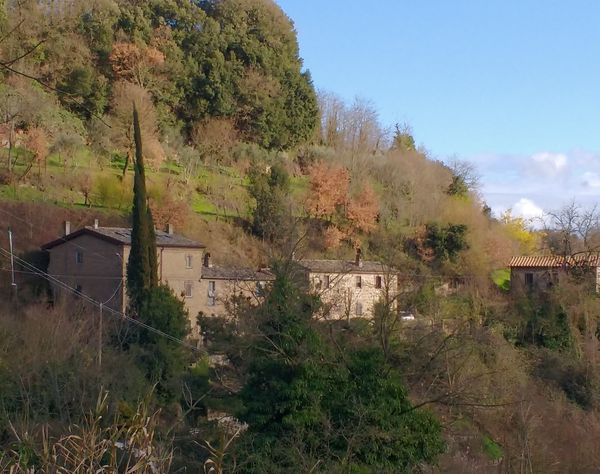 La maison de Virginia