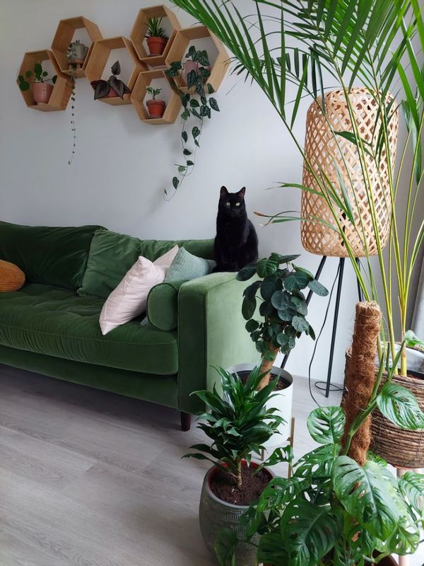 La maison de Kim