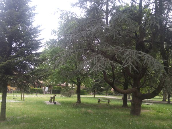 La maison de Finola