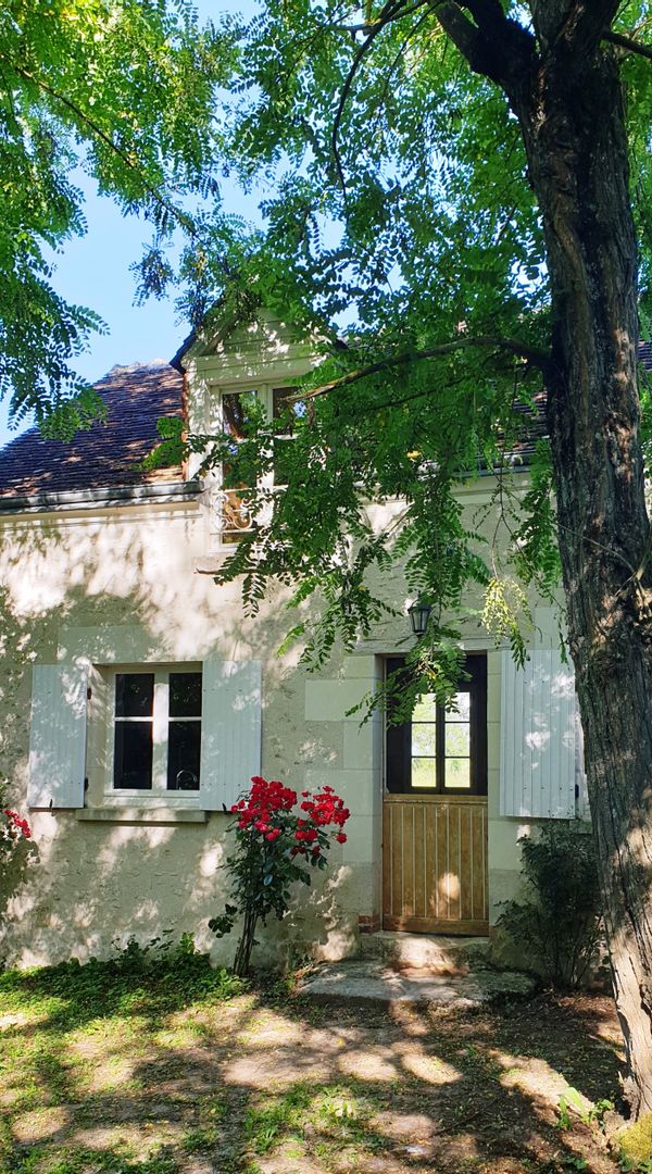 Le Bois Logis un paradis en centre ville , proche zoo de Beauval , Château de Chenonceau ...