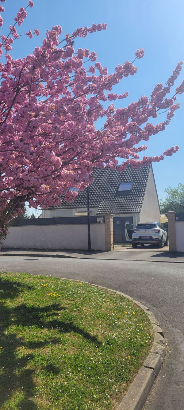La maison d'Emilie