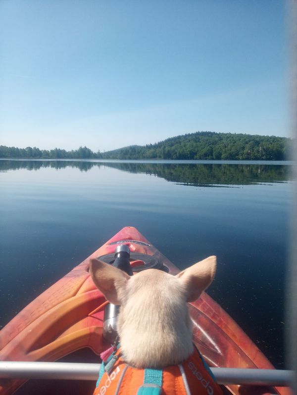 Bienvenue au lac Delage :)