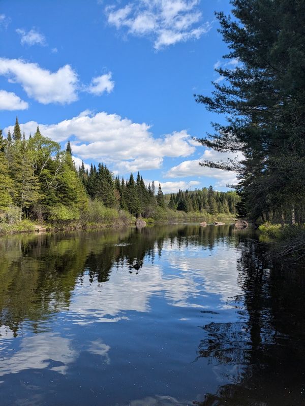 Chaleureux petit chalet familial en bordure de rivière