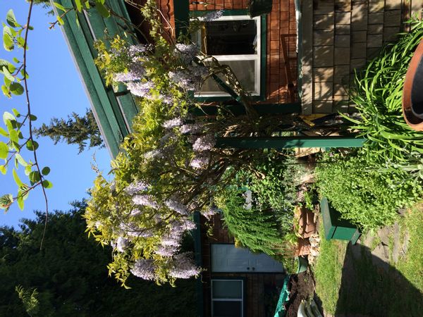La maison de Colleen