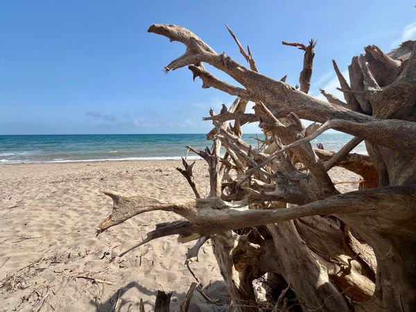 Maison clim rénovée 6 pers proche commerces plages