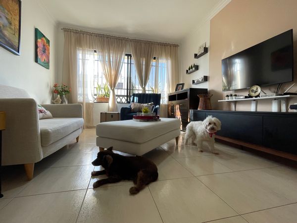 Appartement familial au cœur de Saint Domingue