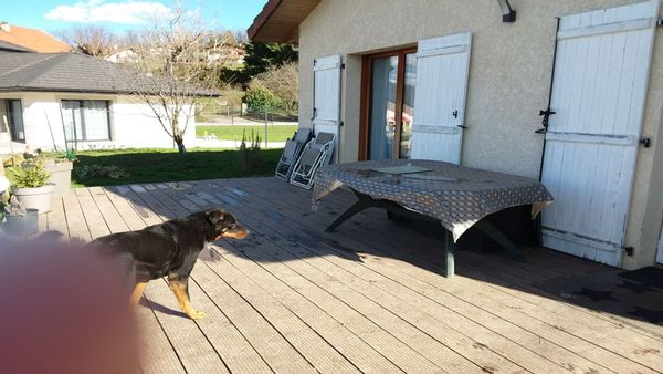 Maison 5 pièces