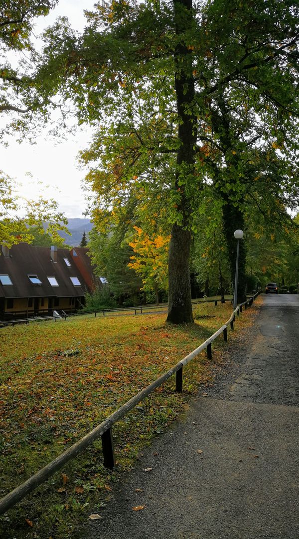 La maison de Angela and Dominique