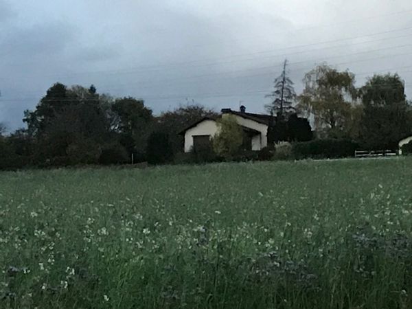 Geneva - House in the country side and Mountain views at 20 min from Geneva / Maison avec vue sur montagnes, grand jardin, à 20 min de Genève