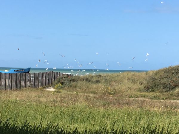 Côte d'opale: appartement 2 chambres dans résidence en front de mer. Vue sur mer et dune.