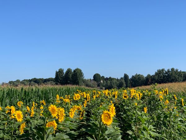 L'Esperluette