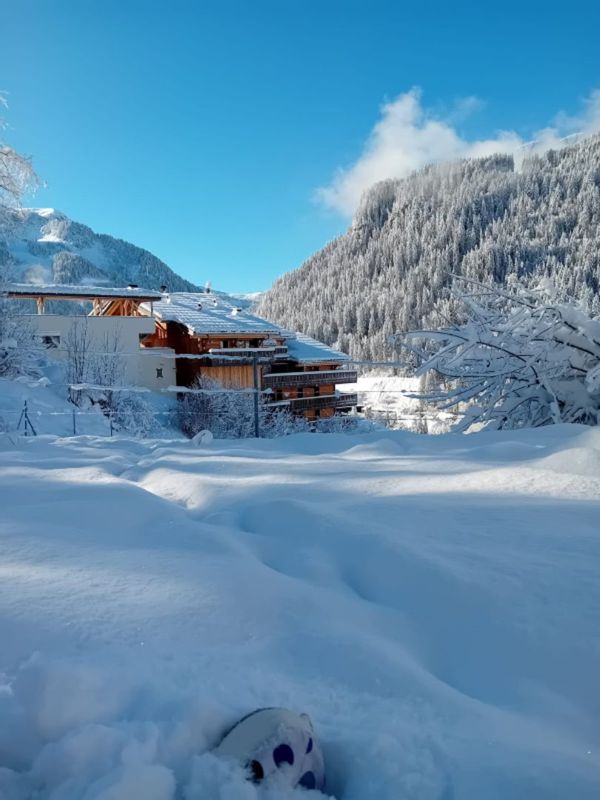 Mignon studio ski et montagne cosy Portes du soleil