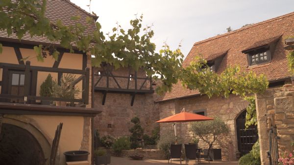 Domaine viticole médiéval dans le Palatinat/sur la Route des vins+nombreuses attractions à proximité