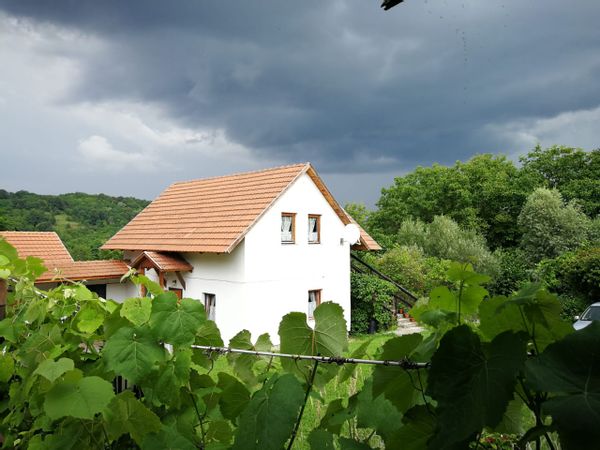 La maison de Virag