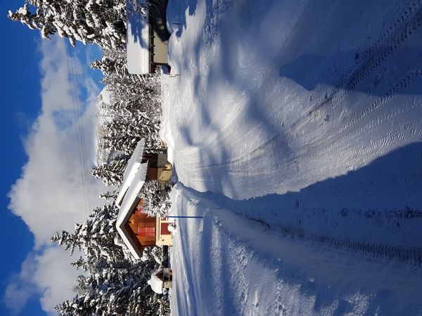 Chalet le Sapin Blanc