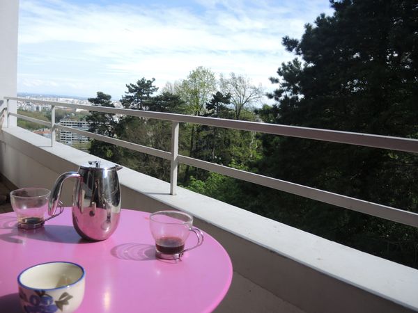 Appartement Croix-Rousse avec terrasse