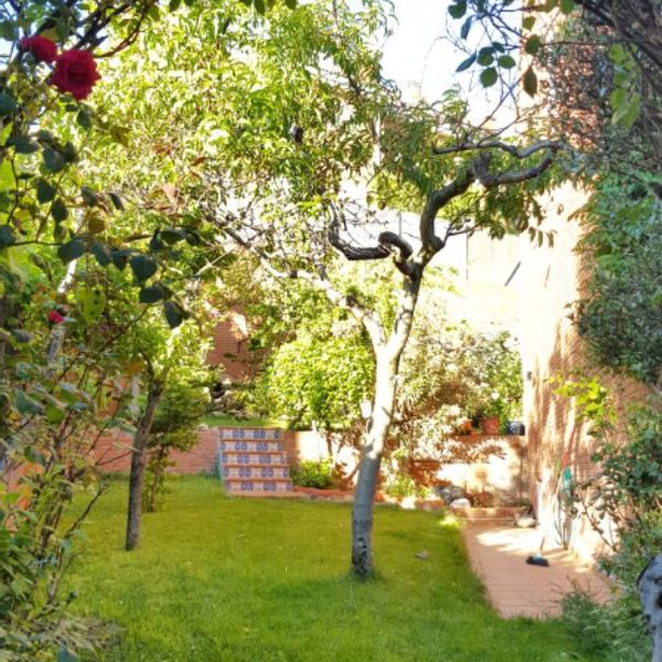 La maison de israel