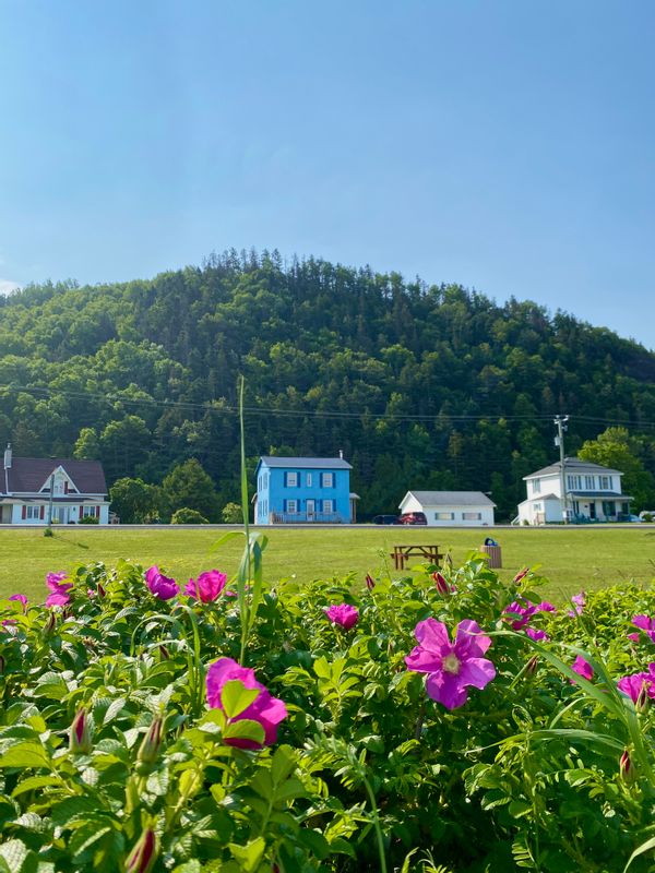 Maison de campagne en face de la plage