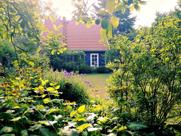 La maison de Dirk