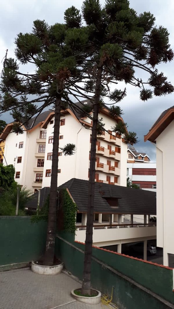 La maison de KÊNIA