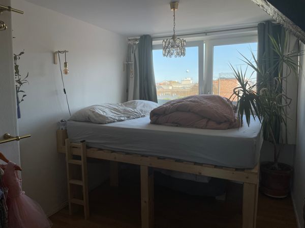 La maison de Dinarte (Dino)
