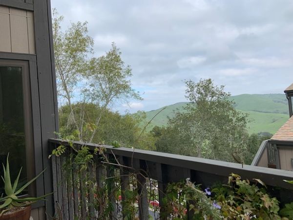 Peaceful Home in the Hills-Maison sur les collines de la baie de San Francisco.
