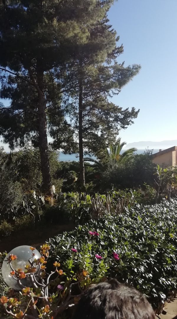 La maison de Rosalba