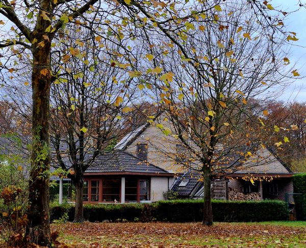 La maison de Rik en Roos