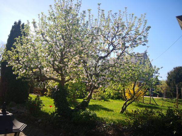 Idylle naturelle : maison avec grand jardin à la campagne