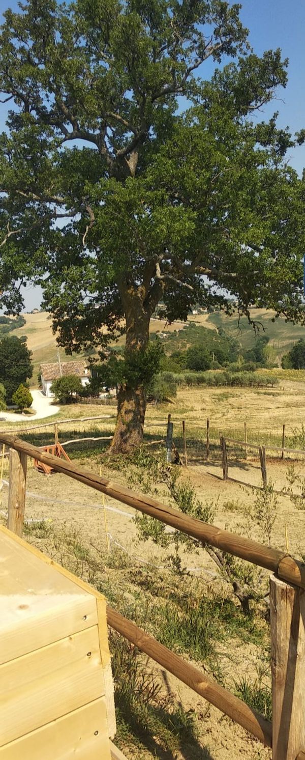 La maison de cristina