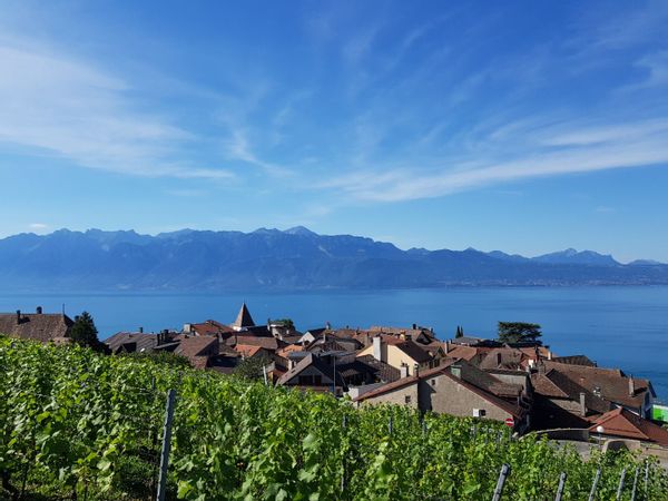 Appartement au coeur de Lavaux - accès en train - GP bienvenus