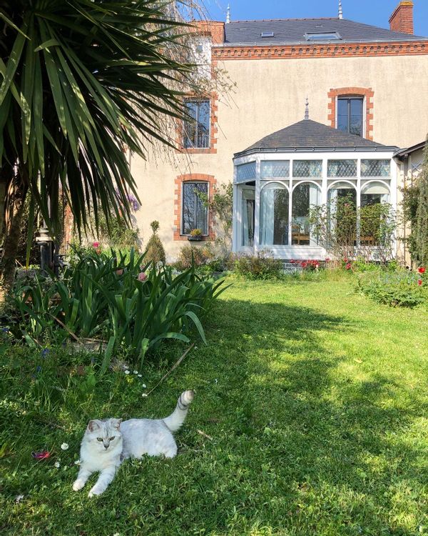 Chez Aline, Steven, Marin et Abel