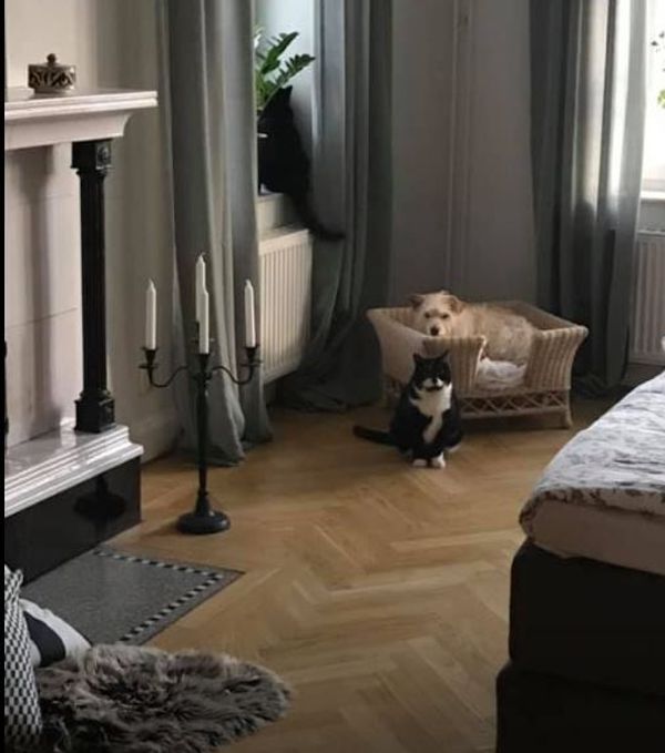 La maison de Susan