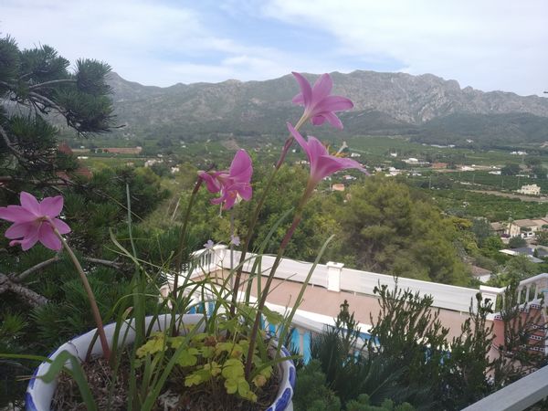 La maison de Vicent i Fina