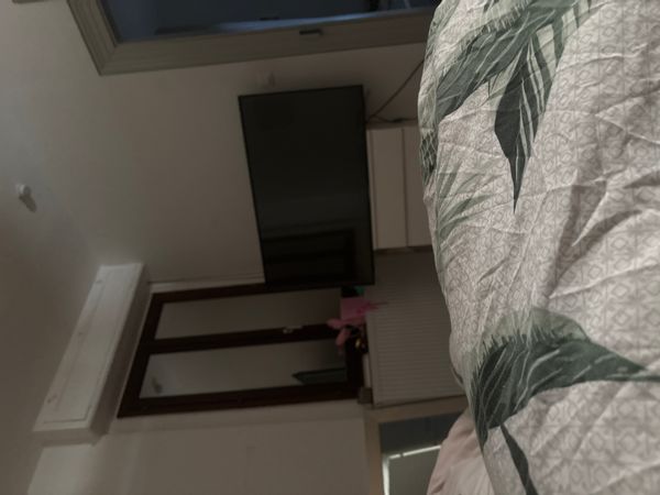 La maison de Sofia Joli 4 pièce atypique au centre du Neudorf à Strasbourg proche cathédrale et centre ville accès direct en tram