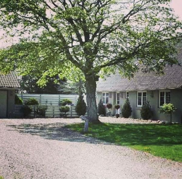 La maison de Sine