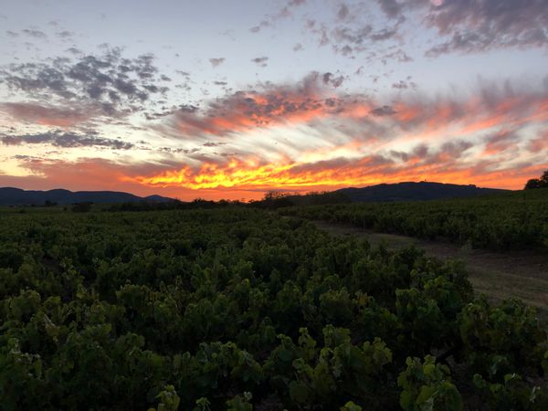 Maison typique dans le Beaujolais vert