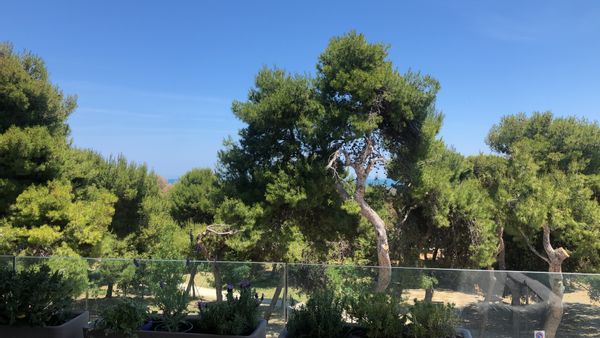La maison de Sandra